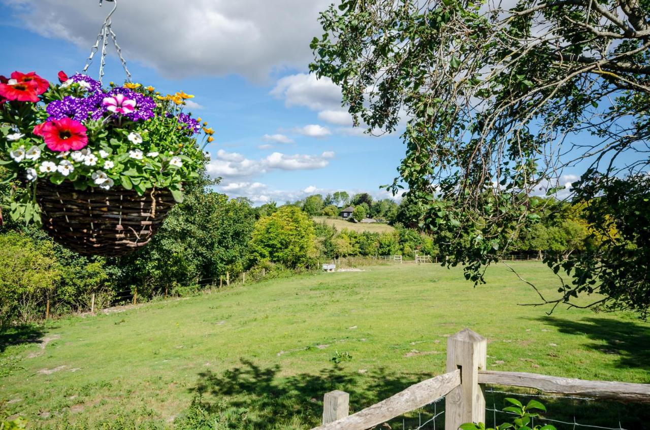 Lavender Lodge Arundel Zewnętrze zdjęcie